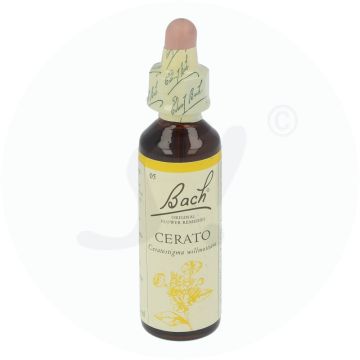 Bachblüte Klosterfrau Cerato 5 20 ml