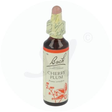 Bachblüte Klosterfrau Cherry Plum 6 20 ml