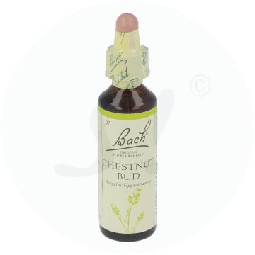 Bachblüte Klosterfrau Chestnut Bud 7 20 ml