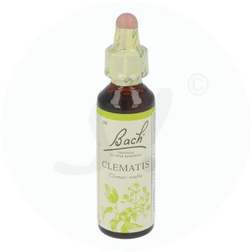 Bachblüte Klosterfrau Clematis 9 20 ml