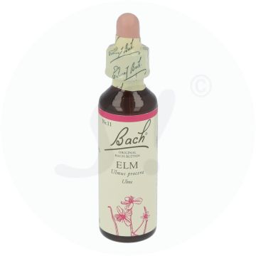 Bachblüte Klosterfrau Elm 11 20 ml