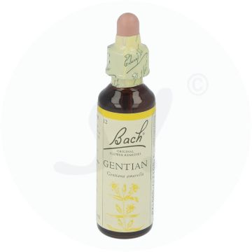 Bachblüte Klosterfrau Gentian 12 20 ml