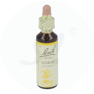 Bachblüte Klosterfrau Gorse 13 20 ml