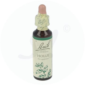 Bachblüte Klosterfrau Holly 15 20 ml