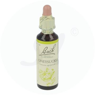 Bachblüte Klosterfrau HoneySuckle 16 20 ml