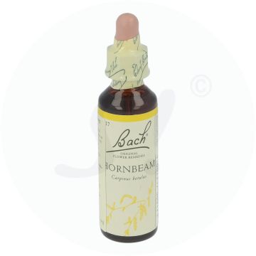 Bachblüte Klosterfrau Hornbeam 17 20 ml