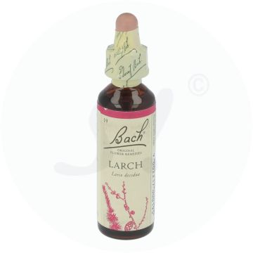 Bachblüte Klosterfrau Larch 19 20 ml