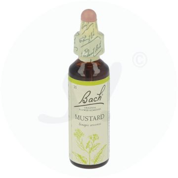 Bachblüte Klosterfrau Mustard 21 20 ml