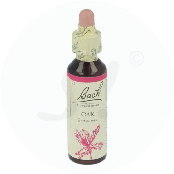 Bachblüte Klosterfrau Oak 22 20 ml