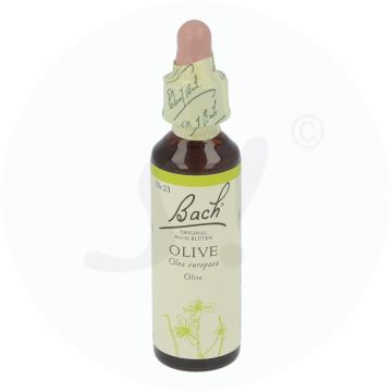Bachblüte Klosterfrau Olive 12 20 ml