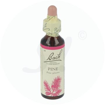Bachblüte Klosterfrau Pine 24 20 ml