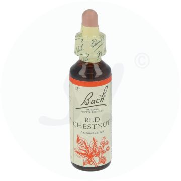 Bachblüte Klosterfrau Red Chestnut 25 20 ml