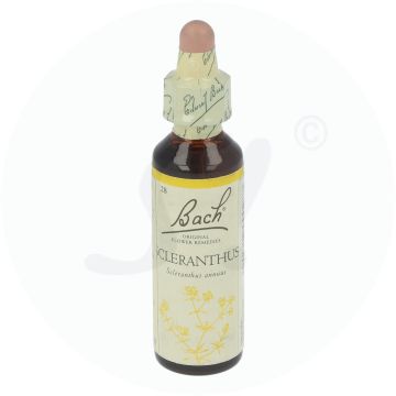 Bachblüte Klosterfrau  Sclerant 28 20 ml