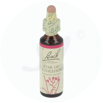 Bachblüte Klosterfrau  Star of Bethlehem 20 ml