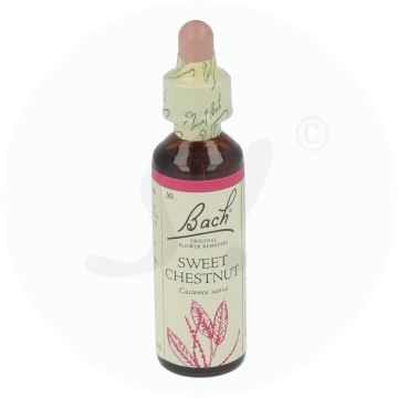 Bachblüte Klosterfrau  Sweet Chestnut 20 ml