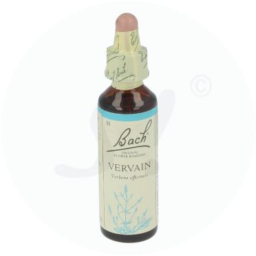 Bachblüte Klosterfrau  Vervain 31 20 ml
