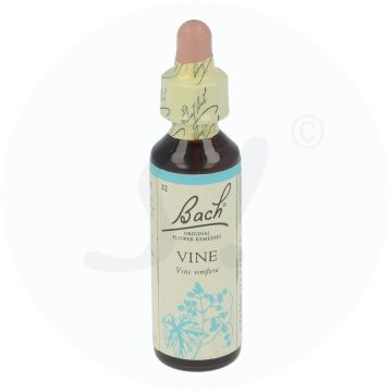 Bachblüte Klosterfrau Vine 32 20 ml