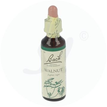 Bachblüte Klosterfrau Walnut 33 20 ml
