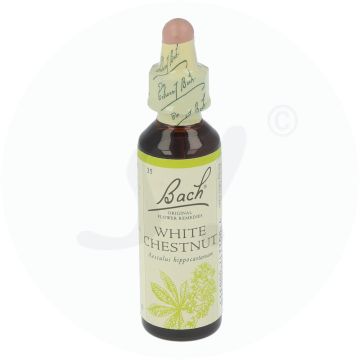 Bachblüte Klosterfrau White Chestnut 20 ml