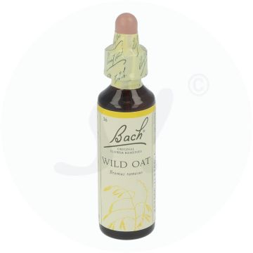 Bachblüte Klosterfrau Wild Oat 36 20 ml