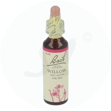 Bachblüte Klosterfrau Willow 38 20 ml