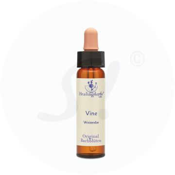 Adler Bachblüten Vine Tropfen 10 ml