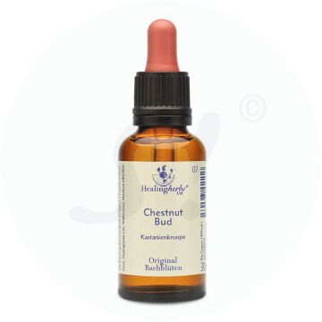 Adler Bachblüten Chestnut Bud Tropfen 30 ml