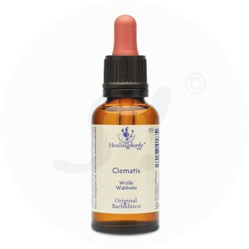 Adler Bachblüten Clematis Tropfen 30 ml