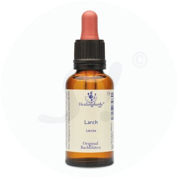 Adler Bachblüten Larch Tropfen 30 ml