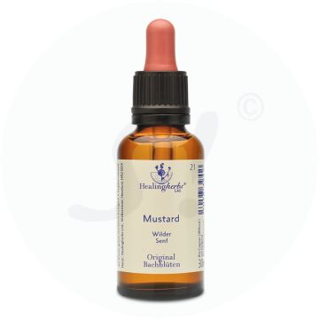 Adler Bachblüten Mustard Tropfen 30 ml