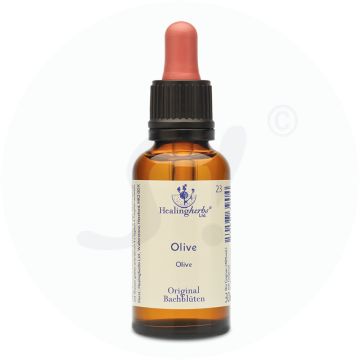 Adler Bachblüten Olive Tropfen 30 ml
