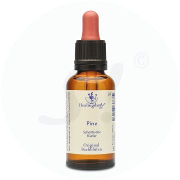Adler Bachblüten Pine Tropfen 30 ml