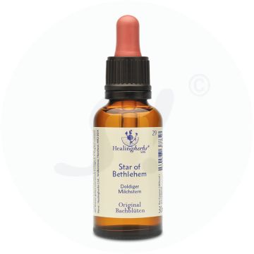 Adler Bachblüten Star of Betlehem Tropfen 30 ml