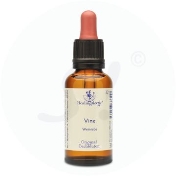 Adler Bachblüten Vine Tropfen 30 ml