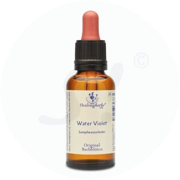 Adler Bachblüten Water Violet Tropfen 30 ml