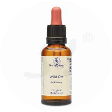 Adler Bachblüten Wild Oat Tropfen 30 ml