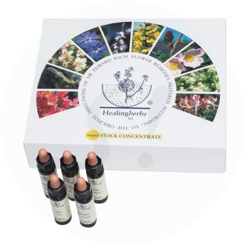 Adler Bachblüten Set mit 40 Flaschen (10 ml) im Karton 1 Pkg.