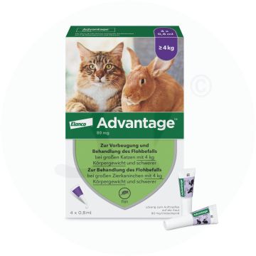 Advantage 80 mg für große Katzen und Zierkaninchen ab 4 kg 