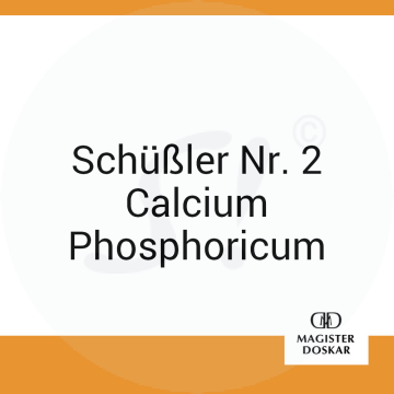 Schüßler Nr. 2 Calcium Phosphoricum Doskar 400 Stk. D 6 Tabletten