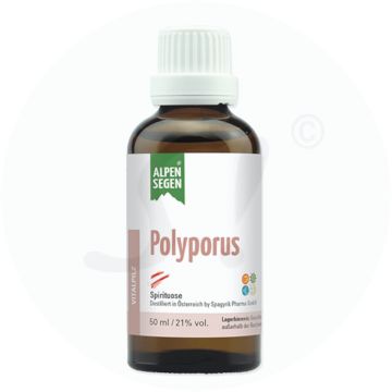 Life Light Alpensegen Polyporus Pilzessenz 50 ml