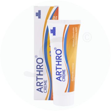 Ice Power Arthro Creme Tube 60 g