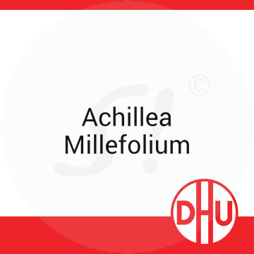 Achillea Millefolium DHU 8 g D 12 Globuli
