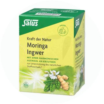 Salus Moringa Ingwer Kräutertee 15 Stk. BIO