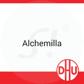 Alchemilla DHU D 6 Globuli 8 g D 6 Globuli