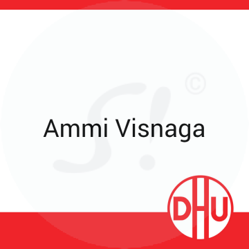 Ammi Visnaga  DHU D 6 Globuli 8 g D 6 Globuli