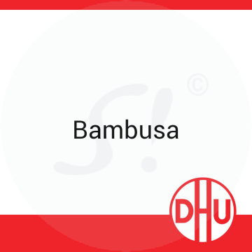 Bambusa DHU C 30 Globuli 8 g C 30 Globuli