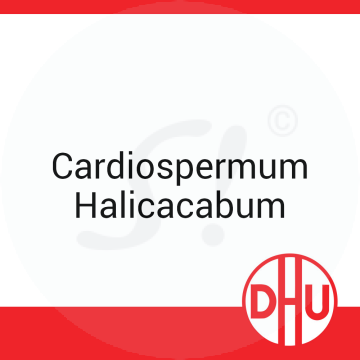 Cardiospermum Halicacabum DHU C 30 Globuli 8 g C 30 Globuli