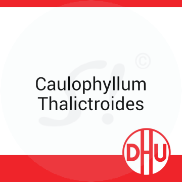Caulophyllum Thalictroides DHU 8 g C 9 Globuli