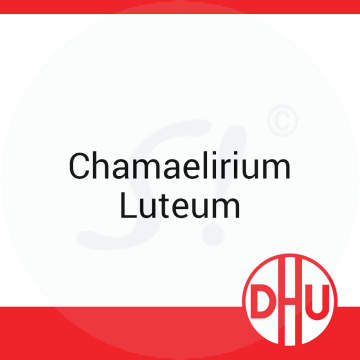 Chamaelirium Luteum DHU 8 g D 12 Globuli