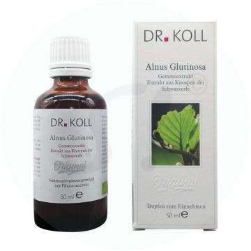 Gemmoextrakt Schwarzerle – Alnus Glutinosa 50 ml